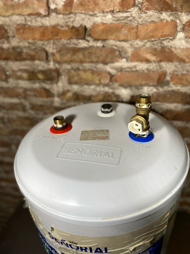 Termotanque Eléctrico 65 Litros Con Envio Blanco (Usado)