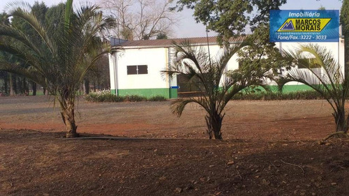 Imagem 26 de 30 de Chácara Com 3 Dormitórios À Venda, 6000 M² Por R$ 850.000,00 - Aleluia - Cesário Lange/sp - Ch0055