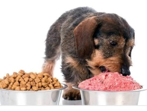 Imagen 1 de 8 de Alimento Barf Natural Para Mascotas 978548738 Santa Anita