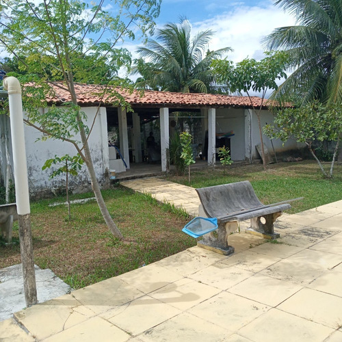 Imagem 7 de 14 de Vendo Mini-chácara Localizada Na Pavuna-ce