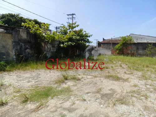 Imagem 19 de 19 de Terreno - Te00007 - 70544610