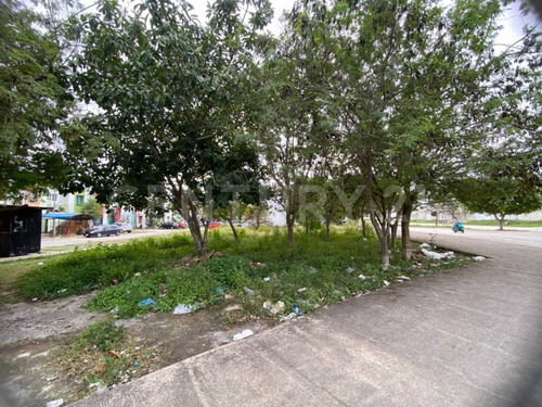En Venta Terreno En Arco Norte Fraccionamiento Las Palmas Ii C3940