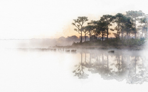 Lago Paisaje Reflejo Bosque Cuadro Decorativo Lienzo Canvas