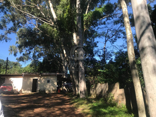 Imagem 4 de 10 de Chácara À Venda Em Vila Ipê - Ch034430
