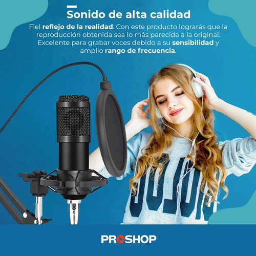 Imagen 8 de 10 de Microfono Condensador Condenser Estudio Bm800 En 6 Cuotas !