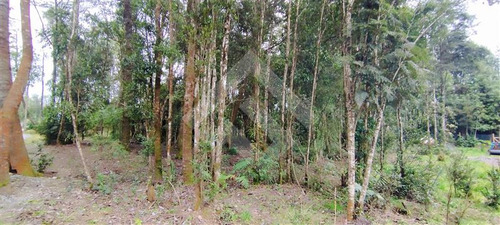 Parcela 5.000mt2 - Casa 5d 4b - 500mt2 - Puerto Varas