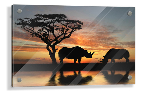 Cuadro De Vidrio Templado Rinoceronte 60x90cm