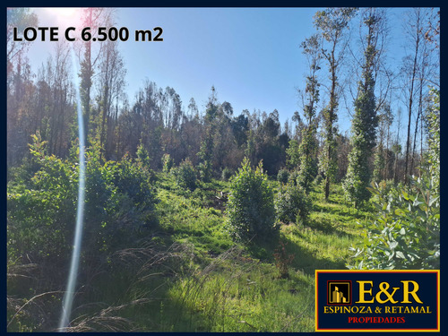6000 M2 En Colico, Con Ester , Santa Juana (67673)