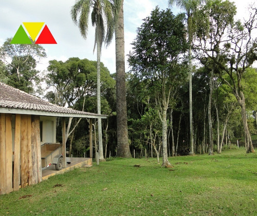 Imagem 3 de 30 de Chaçara Em Araucária. - Ch00097 - 34982946