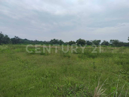 Terreno Rustico En Venta Miacatlán Mor.