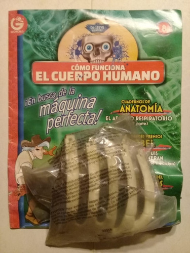 Colección Cómo Funciona El Cuerpo Humano N° 8 - Grijalbo -