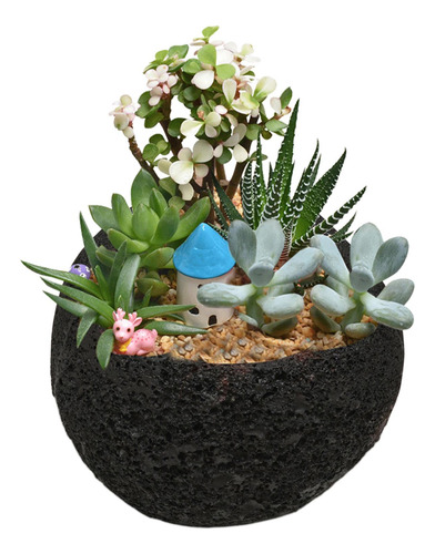 De La Planta Decorativa De La Resina Abstracta Creativa Para