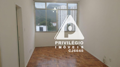 Apartamento Para Aluguel, 1 Quarto, Laranjeiras - Rio De Janeiro/rj - 29489