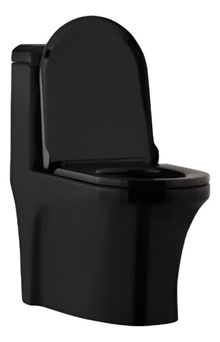 Sanitario Wc One Piece Joytek Descarga A Piso 30 Cm Negro