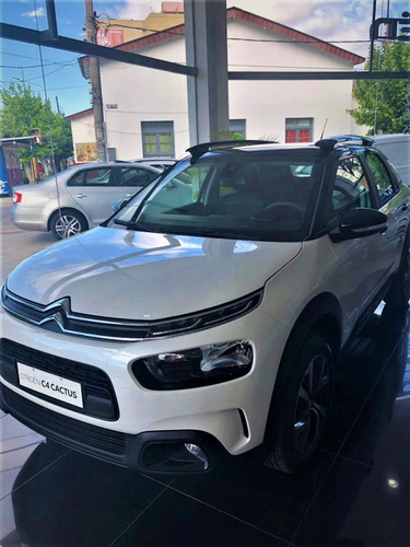 C4 Cactus Thp 165 Eat6 Shine Am21