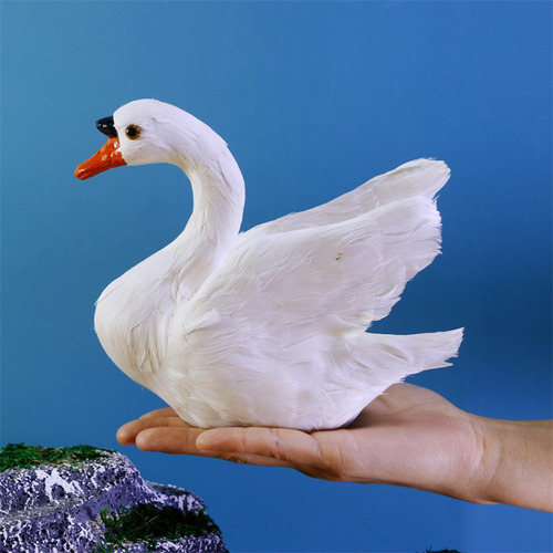 Animal Modelo Cisne Artificial Para Fotografía De