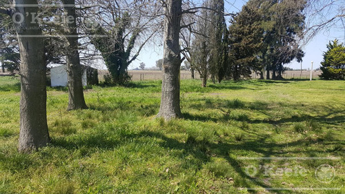 Chacra En Venta De 34 Has En Lezama. Ideal Para Producir Y Disfrutar