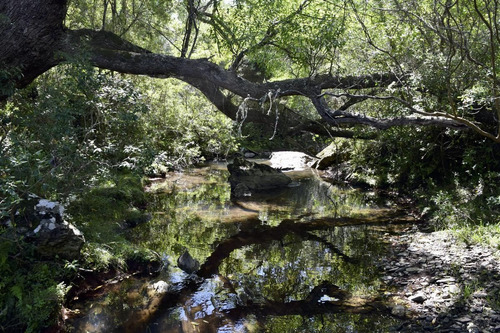 Venta Chacra Sierra Minas Ruta 60 Pan De Azucar Minas
