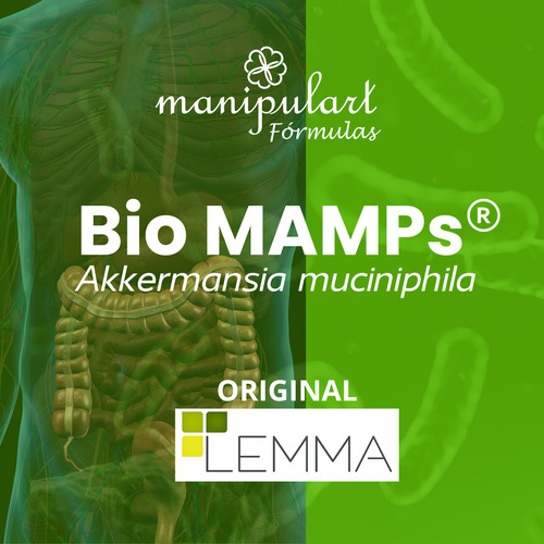Akkermansia Muciniphila Bio Mamps 25mg 120 Cápsulas C/selo