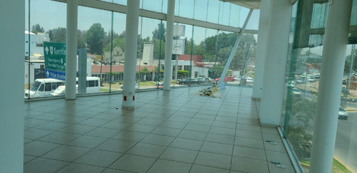 Se Renta Oficina Plaza La Punta Celaya