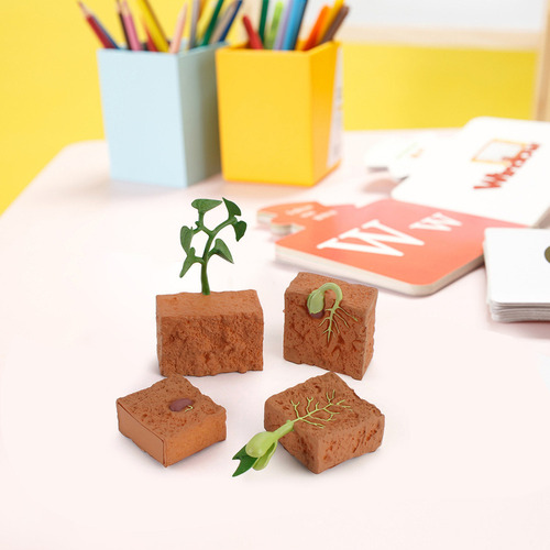 Figuras Del Ciclo De Crecimiento De Las Plantas En Forma De