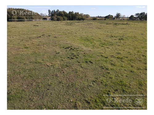 Imagen 9 de 16 de Campo Mixto De 280 Has En Venta Con Inmejorable Acceso Sobre Asfalto En Ranchos - Oportunidad !