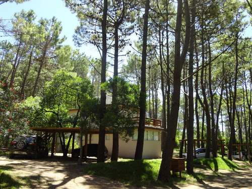 Imagen 3 de 15 de En El Bosque A 200m Del Mar, 300m Del Centro.
