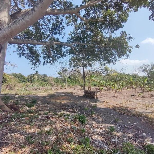 Hectárea En Venta En Veracruz Sobre Boulevard Paseo Jamapa Medellín.