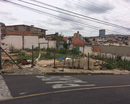 Imagem 6 de 16 de Lote 375m2 Bairro Ipiranga - 94675