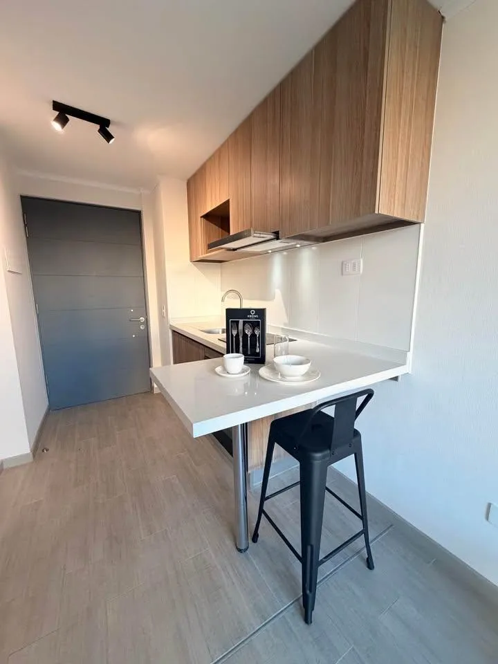 Imagen 3 de 23 de Apartamento Amoblado En Santiago Garantia En 2-3 Cuotas