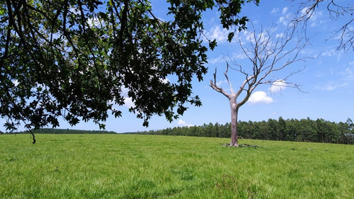 Imagen 7 de 21 de Lote En Venta 1219m2 En Puerto Rico - Loteo Clemens Blick