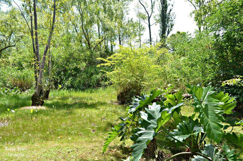 Imagen 13 de 14 de Cabaña Delta Tigre Unica En Quinta Privada C/pileta Exclusiv