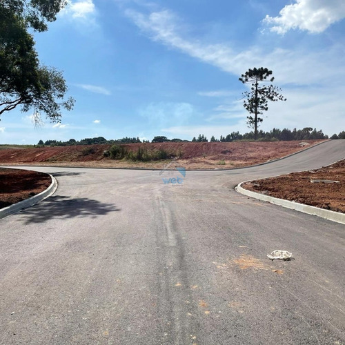 Imagem 10 de 12 de Terreno À Venda No Loteamento Vista Alegre, Bairro Costeira Em Araucária. Podendo Ser Parcelado Junto A Loteadora. - Te00151 - 70755623