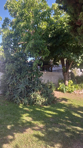Casa Cerca Centro 2 Dormitorios Buen Terreno
