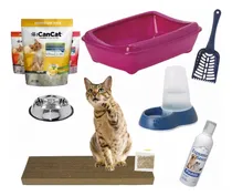 Comprar Kit Bienvenida Gatos Gatito Litera Rascador Piedras Siames