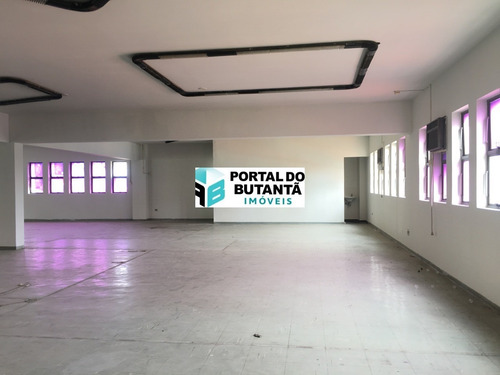 Imagem 3 de 9 de Galpao - Gl00001 - 67639493
