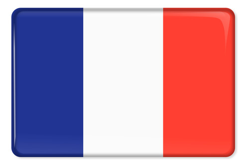Emblema Resinado Citroen Bandeira França Res7