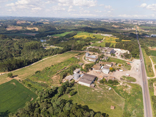 Imagem 16 de 17 de Terreno/ Área 20.000m² A Venda Em Araucária Pr. - Te00002 - 68828711