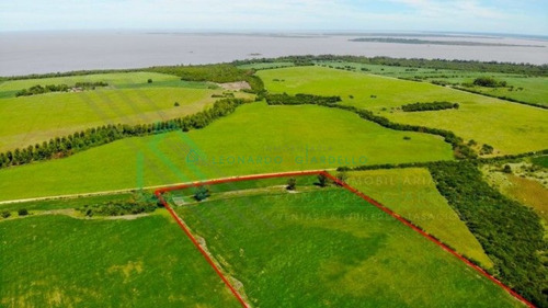 Imagen 4 de 5 de Martin Chico, Colonia - Campo Con Vistas Al Rio De La Plata Y A La Costa Argentina