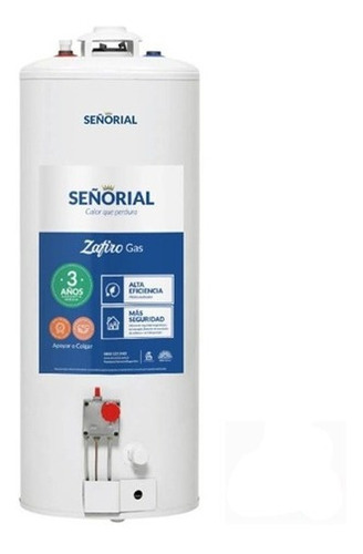 Termotanque Señorial 85lts Apoyar/colgar Multigas