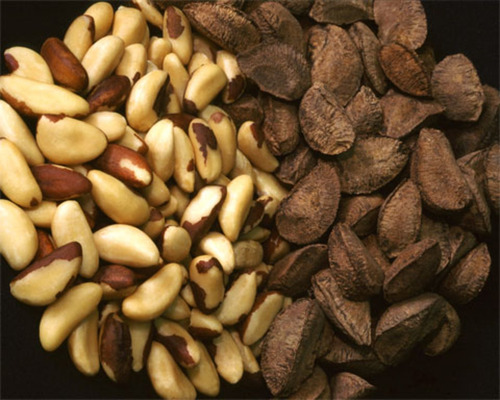 3 Kg Castanha Do Brasil Inteira Extra Graúda Selecionada