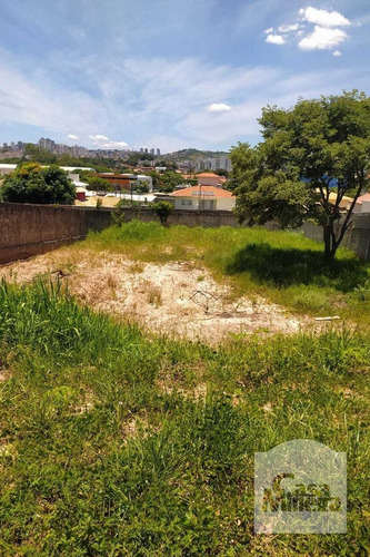 Imagem 7 de 10 de Lote À Venda No Bandeirantes - Código 278049 - 278049