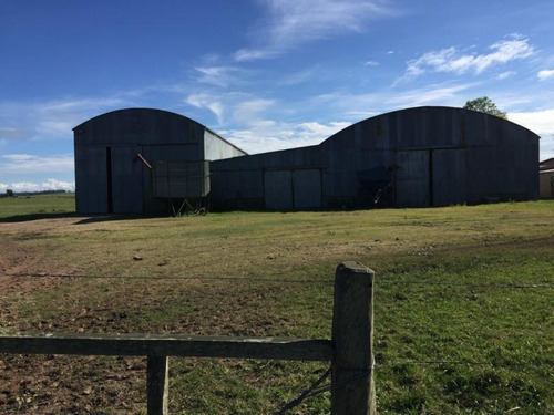 Venta Campo Tacuarembo