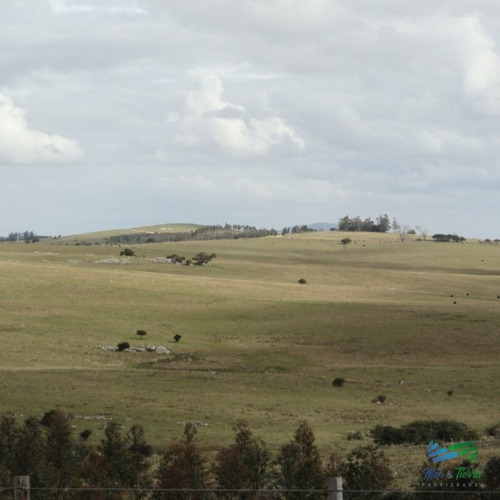 Imagen 4 de 8 de 25 Has, Excelente Ubicación Ruta 12, Arroyo Y Vistas Increibles - Pueblo Eden Pueblo Eden
