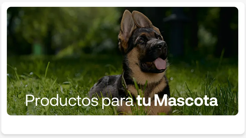Nuestra trayectoria