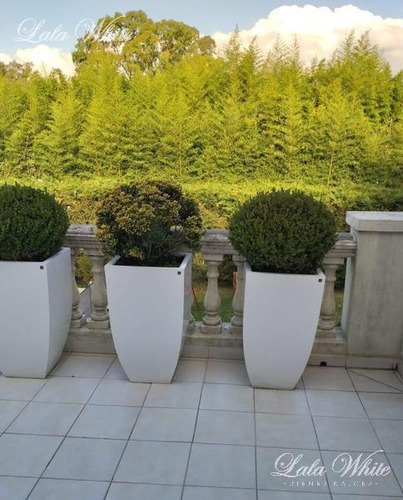 Imagen 12 de 17 de Venta - Casa En El Rocío