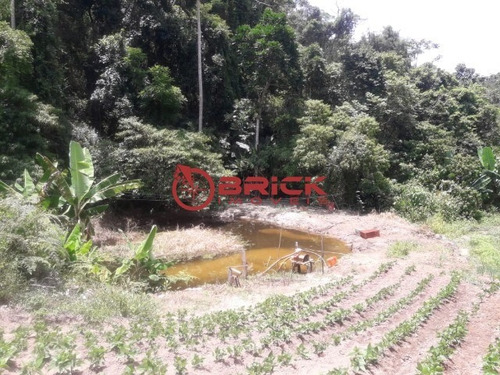 Sitio - Campanha - Ref: 34803040 - V-st00152