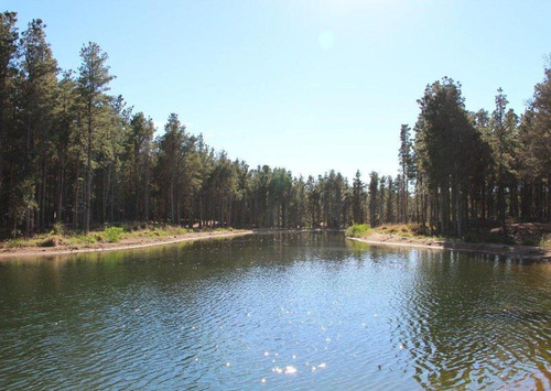 Imagen 10 de 15 de Venta - Lote Con Vista A Laguna En Villa Robles - Barrio Cerrado