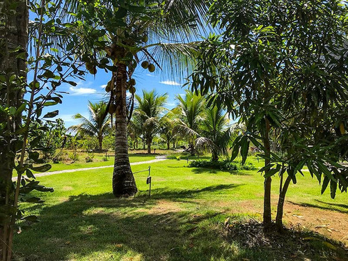 Fazenda Com 5,5ha A Casa Tem 495m2 Construído Em 2 Andares. Piscina Natural. O Imóvel E Perfeito Para Plantar Café Ou Cacau