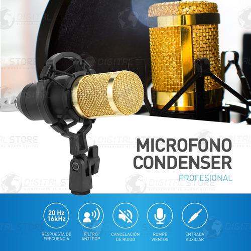 Kit Microfono Condenser Profesional Con Brazo Filtro Araña